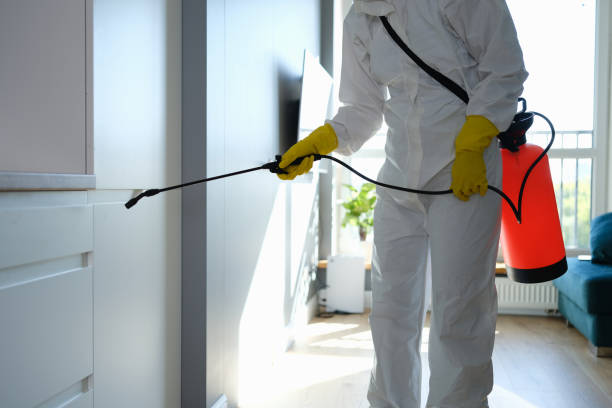 Sylvan Lake, MI Mold Removal Company