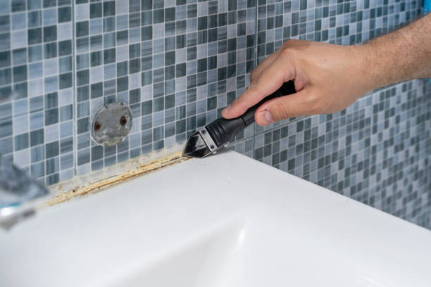 Best Mold Damage Repair  in Sylvan Lake, MI