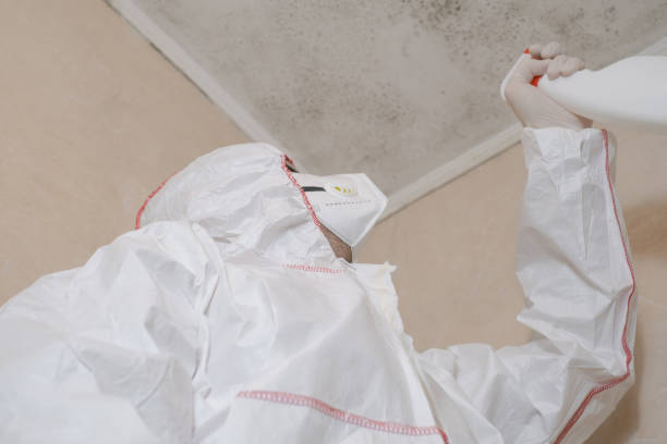 Best Fast Mold Removal  in Sylvan Lake, MI