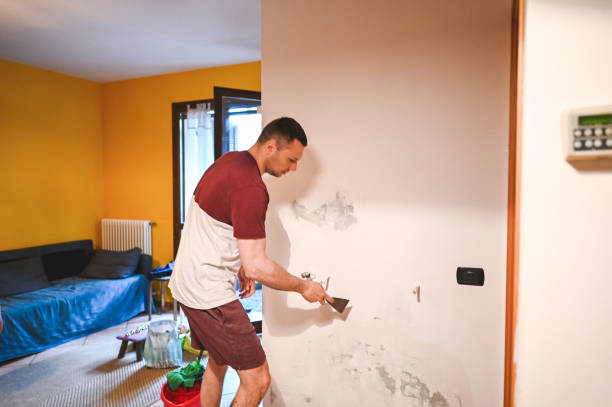 Best Certified Mold Removal  in Sylvan Lake, MI
